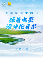 奥托达凯